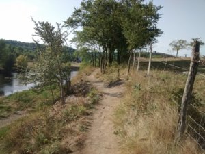 IMG_20170825_102332055.jpg