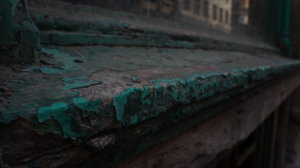 DSC04924.jpg