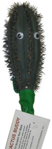 cactusbuddy.jpg
