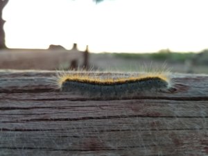 20170529_202034.jpg