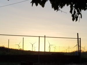 20170529_202445.jpg