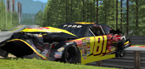 nascar17.png