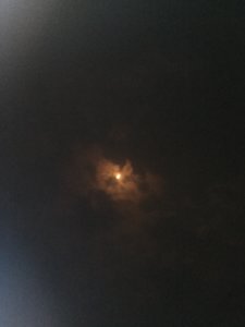 IMG_3602.jpg