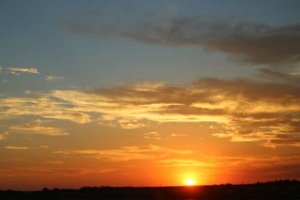 IMG_2941.jpg