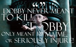 NevermeantDobby.jpg