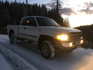 IMG_0950.jpg