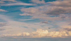 20170730-DSC_1024.jpg