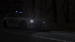 sunburstpolice.jpg