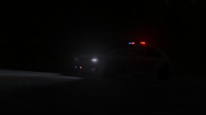 policesunhatch.jpg