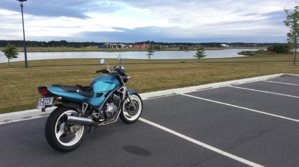 153978d40a.jpg