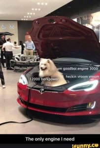 V8borkengine.jpg