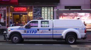 nypd3166.jpg