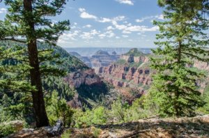 19-DSC_8532hdrlerw-Canyon-view-Widforss-Trail-NR-GRCA-NP-AZ-g-HDR.jpg