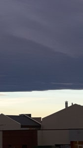 20161108_080510.jpg