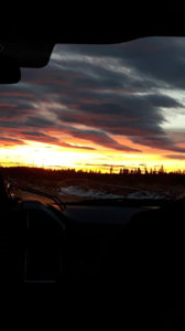 20161126_080542.jpg