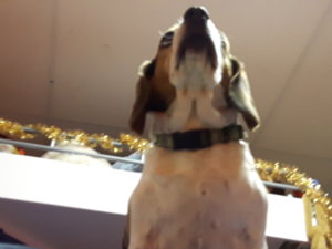 20161227_233618.jpg