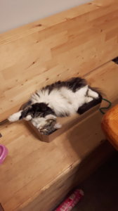 20161222_175057.jpg