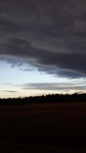 20161111_081347.jpg