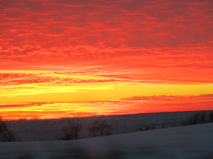0622F2F6-E95D-4944-A980-E025C425E186.png