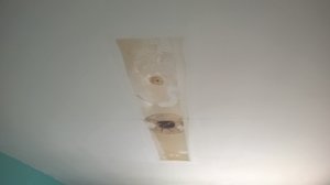 WP_20180105_12_59_06_Pro.jpg