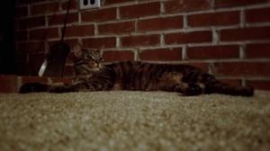 20180107_193003-01.png