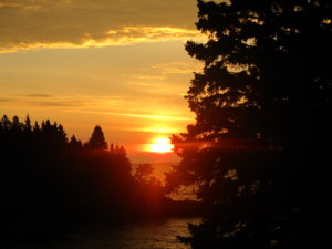 D36AE8B7-3476-4F02-9D87-F85A234863DA.jpeg