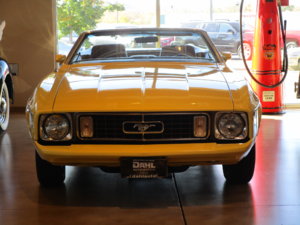 7677B84E-6952-4262-B3BE-F9EBCD22E06E.jpeg