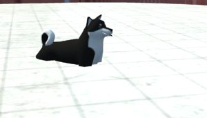 screenshot_00149.png