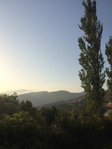 EC5EC265-D420-4C13-8AF2-87098BDA6B8C.jpeg