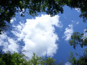 SAM_1046.jpg