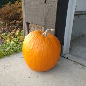 IMG_20171201_162937.jpg