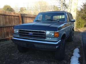 bronco1.jpg
