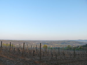 P1200204.jpg