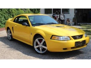 yellowmustang.jpg