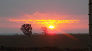 DSCN2643.jpg