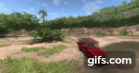 true.gif