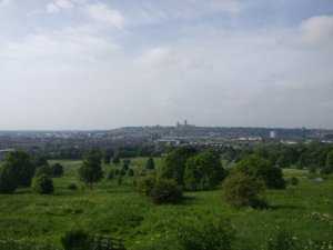 IMG_20180531_171538.jpg
