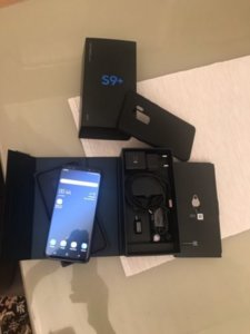 sgs9.jpg