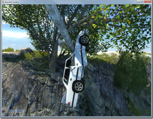 grandMarshallInTree.jpg