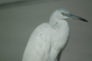DSC_1393.JPG