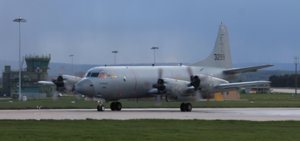 IMG_2464.jpg