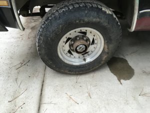 IMG_1604.jpg