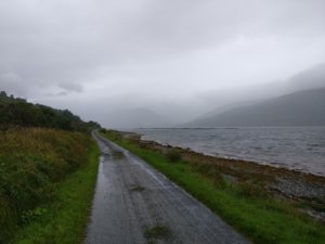 IMG_20180812_113725.jpg