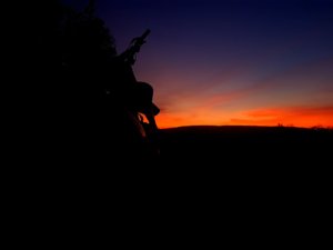 20180914_200124.jpg