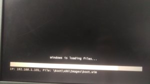 IMAG2146.jpg