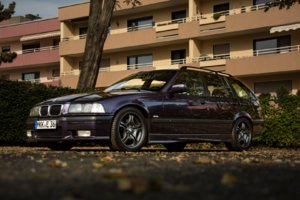 DSC_0041.jpg