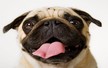 1539873337070_thumbnail.jpg