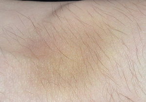 upload_2018-11-14_23-27-38.png