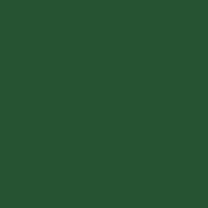 sarah-jayne-chalk-paint-british-racing-green-colour-swatch.jpg