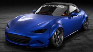 NeedforSpeedPayback_20190112095308.jpg